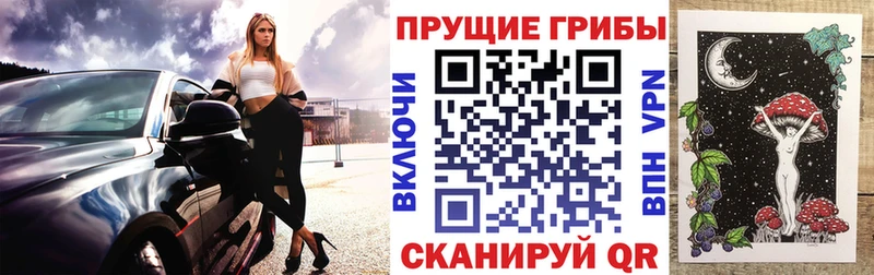Псилоцибиновые грибы Magic Shrooms  магазин продажи наркотиков  Духовщина 
